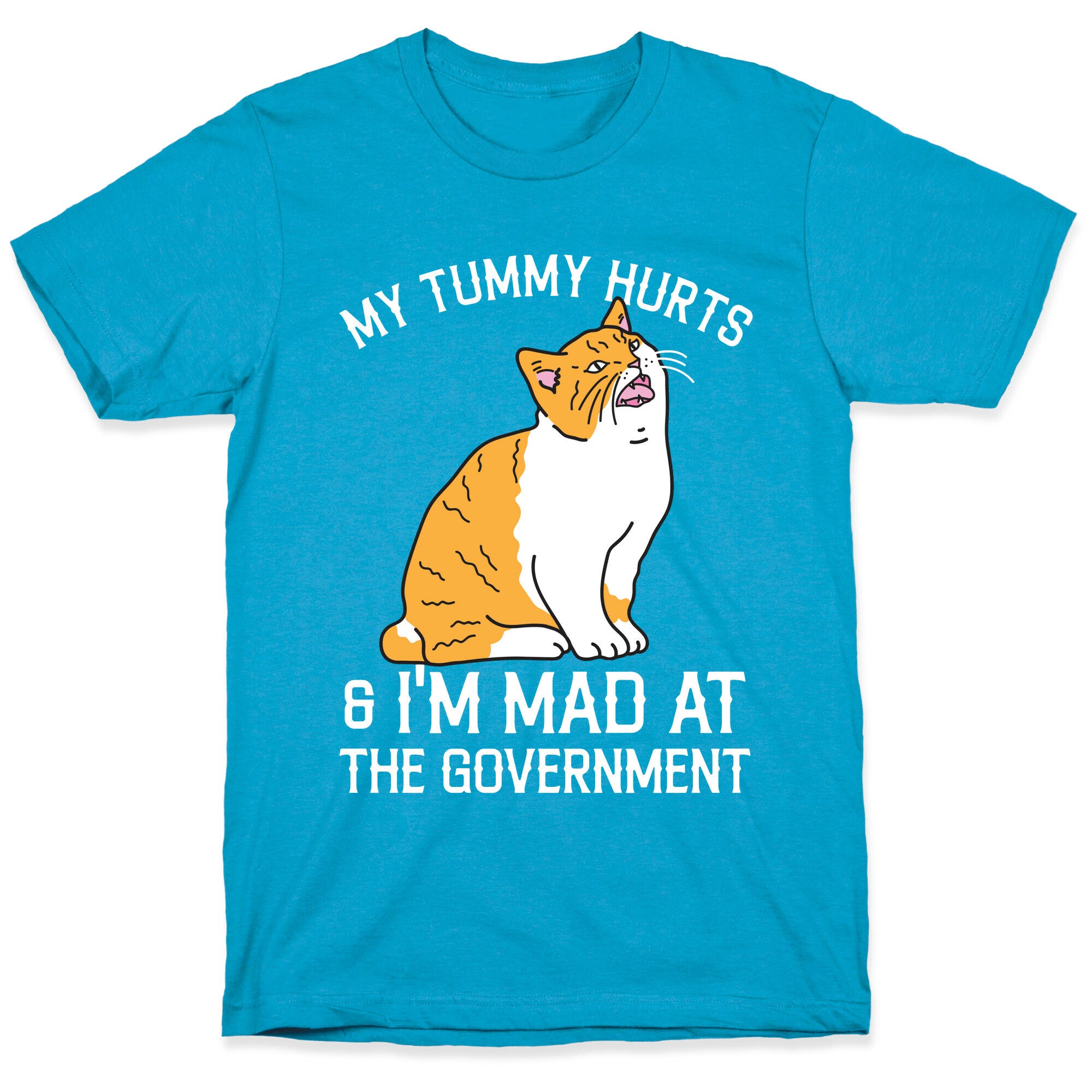 My Tummy Hurts & I'm Mad At The Government  Unisex Triblend Tee